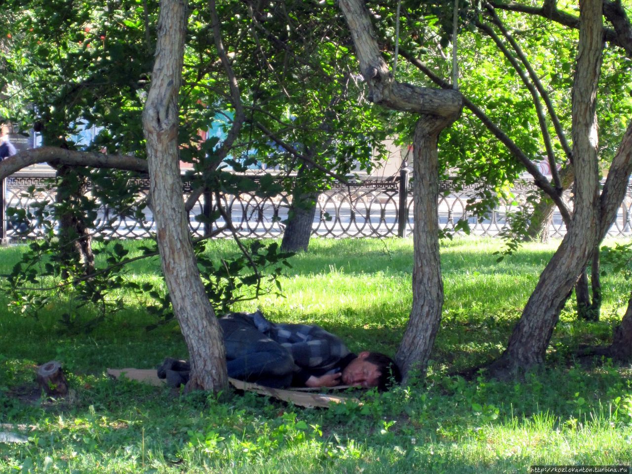 Утомлённый Солнцем охранник вернисажа. Новосибирск, Россия