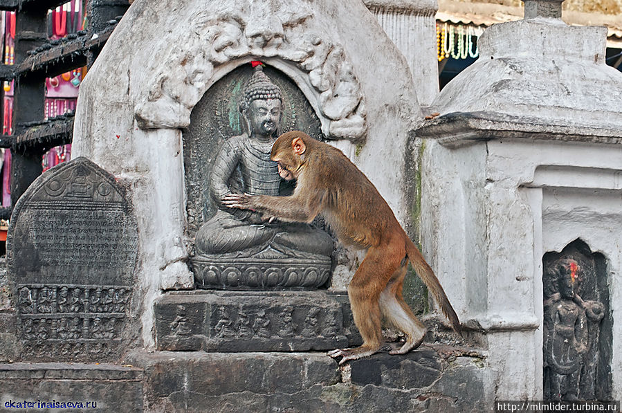 Обезьянья Ступа в Катманду Обезьянья Ступа в Катманду