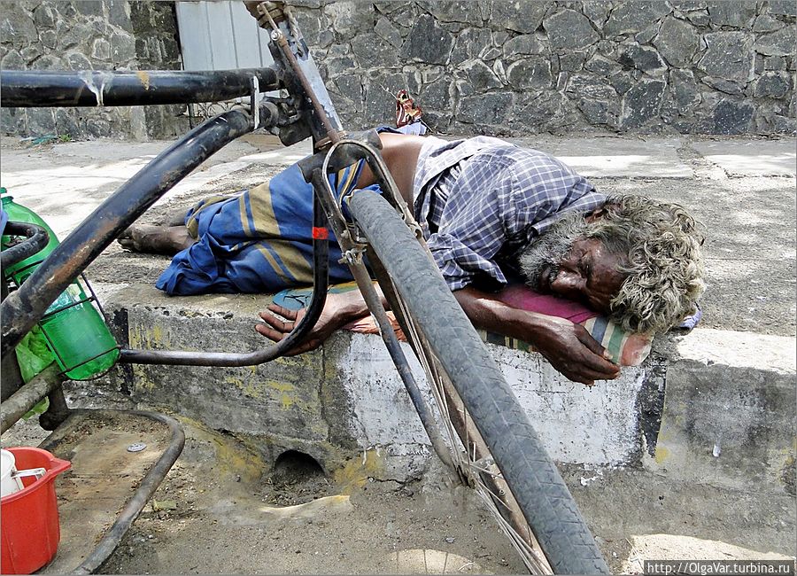А кому-то досталась доля бездомного пса. Разве об этом мечтал он в юности... А кому-то досталась доля бездомного пса. Разве об этом мечтал он в юности...