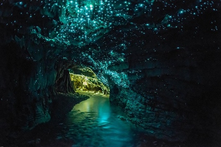 В пещере. Фото из интернета Ваитомо-Кейвс, Новая Зеландия