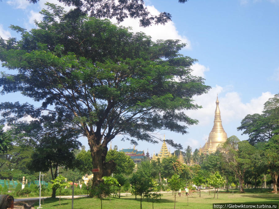 Народный парк Янгон, Мьянма