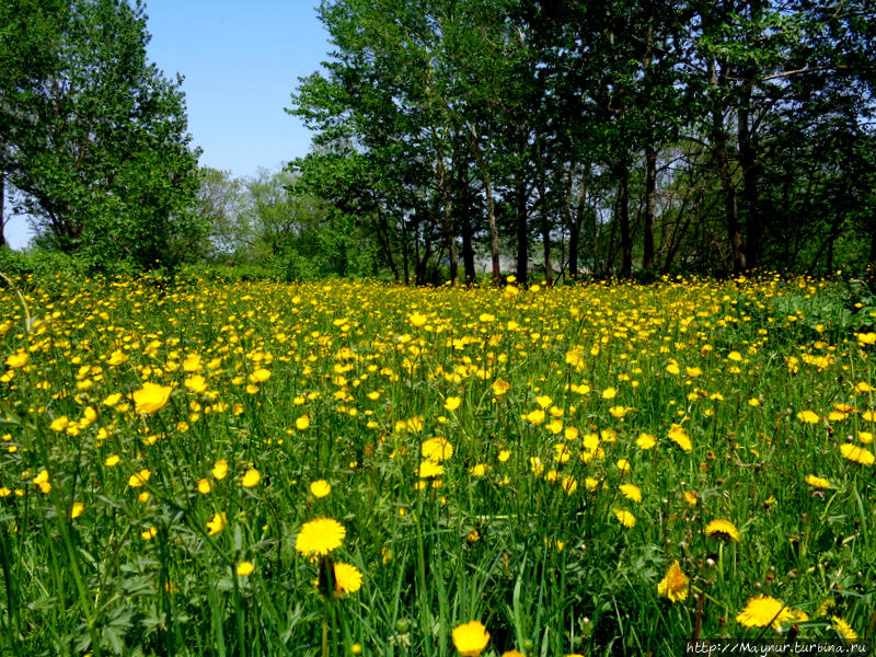 Преддверие осени... Южно-Сахалинск, Россия Преддверие осени... Южно-Сахалинск, Россия