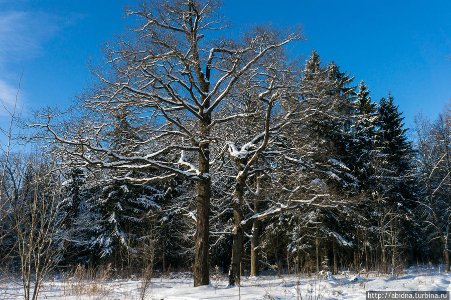 Там, где я теперь живу Россия Там, где я теперь живу Россия