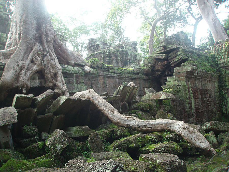 Кто открыл Ангкор? или Второе рождение Ангкор (столица государства кхмеров), Камбоджа