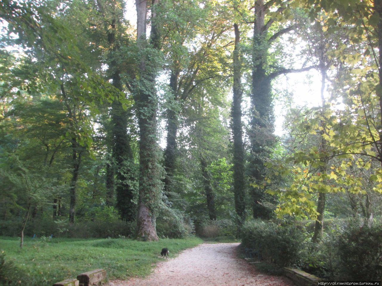 Ботанический сад Зугдиди, Грузия