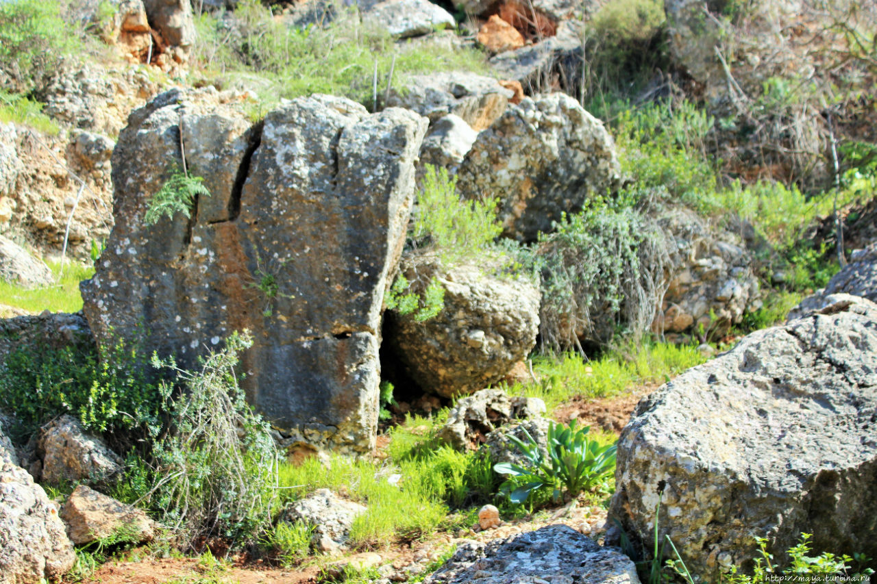 Чудо-чудное, диво-дивное: заповедник Айон и его водопады Метула, Израиль