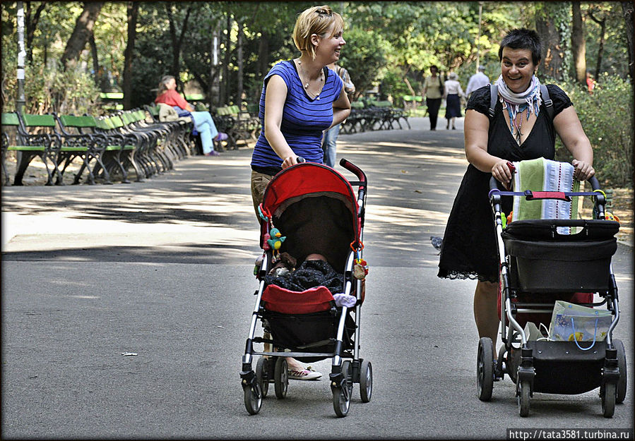 можно погулять с младенцами можно погулять с младенцами