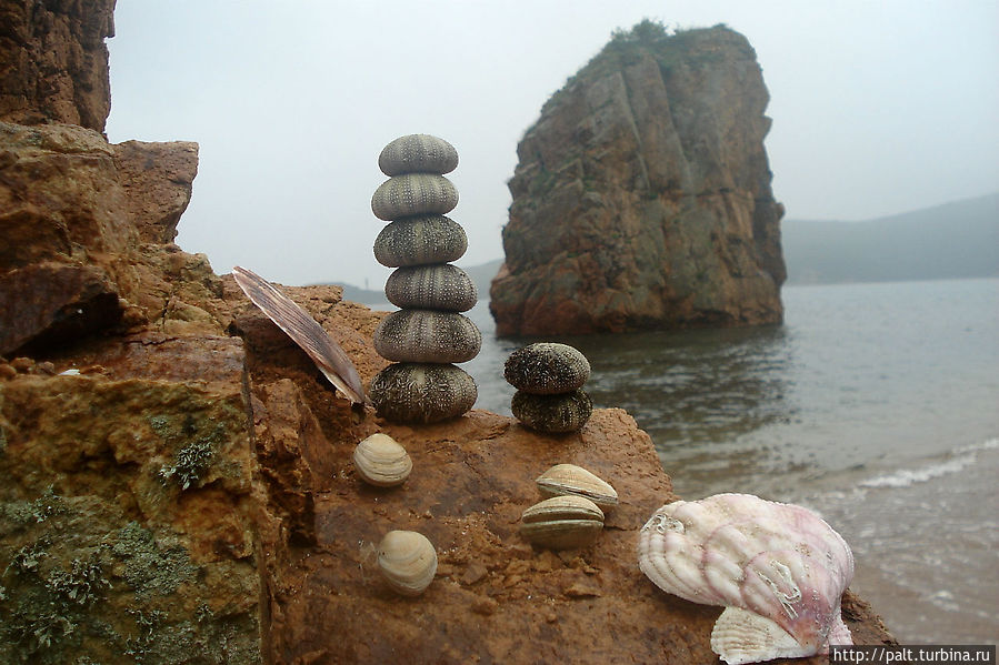 Пирамидки на счастье и пора домой Пирамидки на счастье и пора домой