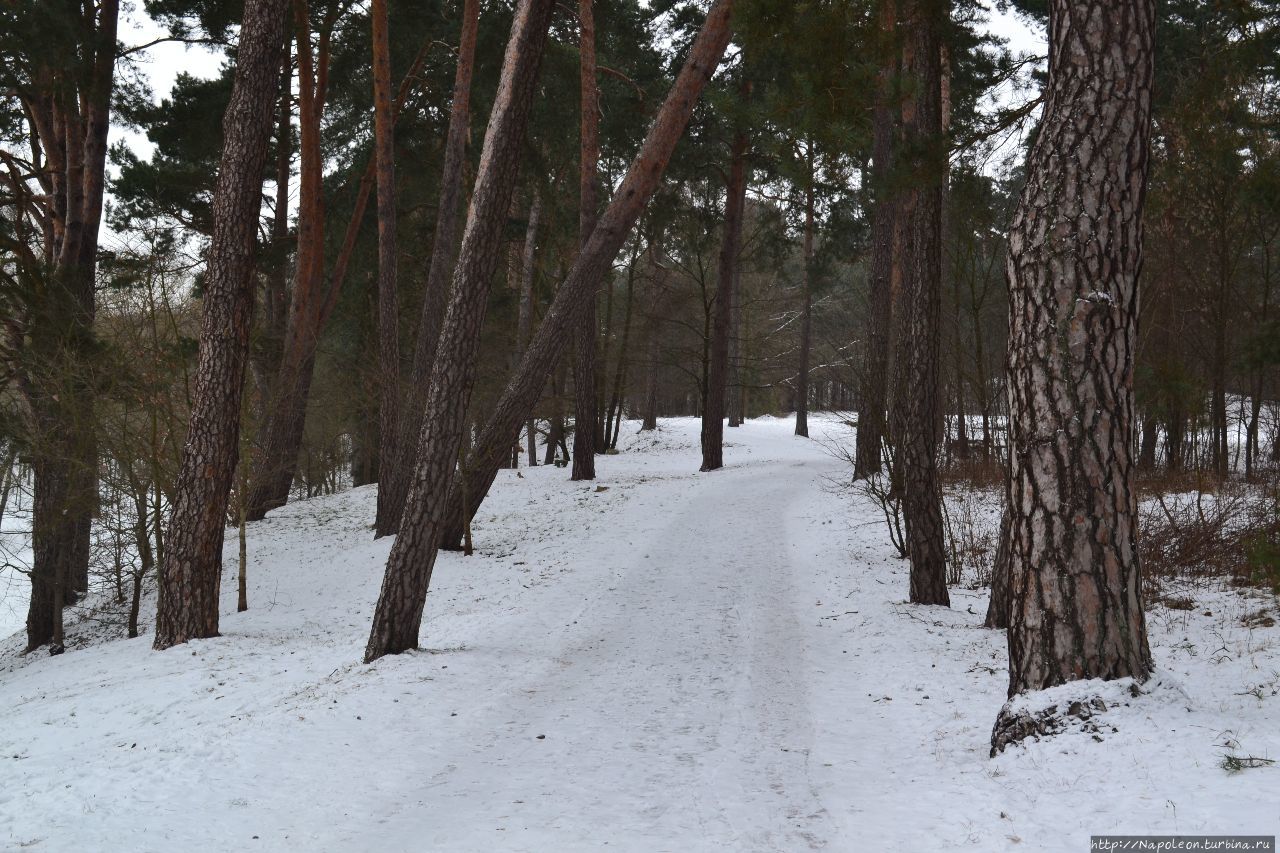 Панямунский парк Каунас, Литва