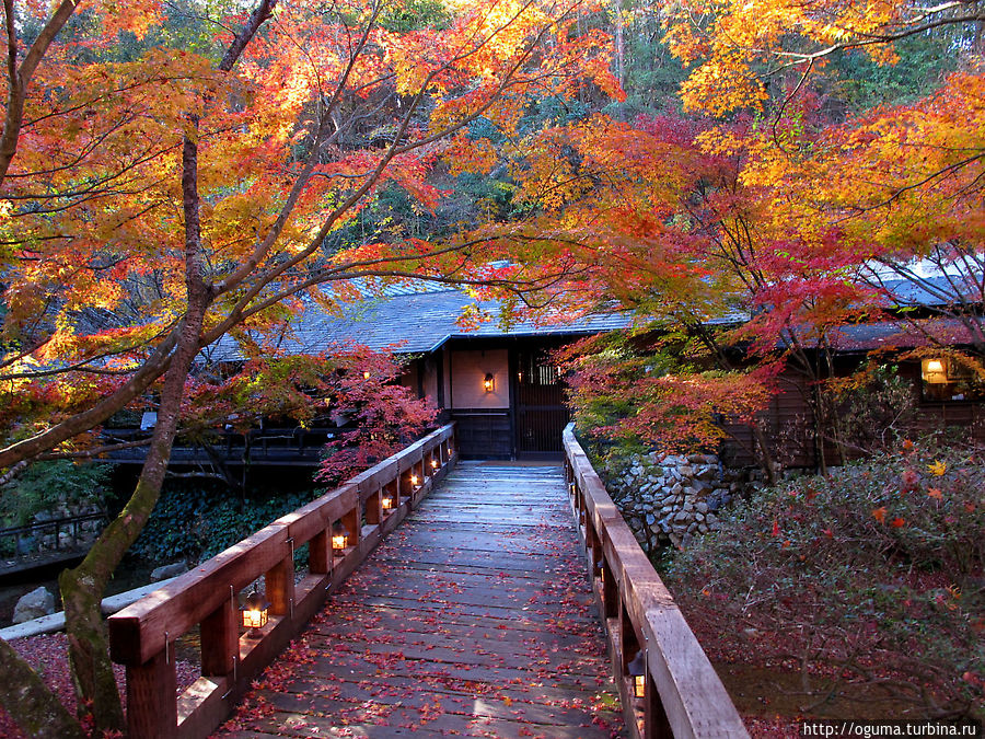 Просто одинокое кафе в лесу, Гифу. Просто одинокое кафе в лесу, Гифу.