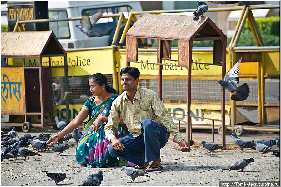 Ни один большой город не обходится без голубей. У ворот Индии на берегу моря — их предостаточно. И индийцам не чуждо — покормить пернатых с рук, как это делают в европейских городах...
* Мумбаи, Индия
