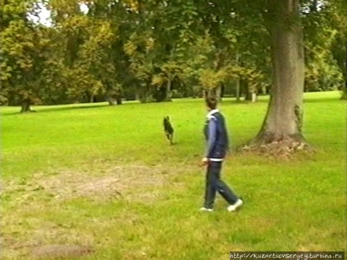 Каково погулять по Версальскому парку со своей собачкой? Версаль, Франция
