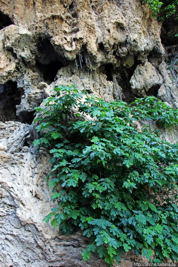 Πάρκο Καταρρακτών (Парк Водопадов) Эдесса, Греция