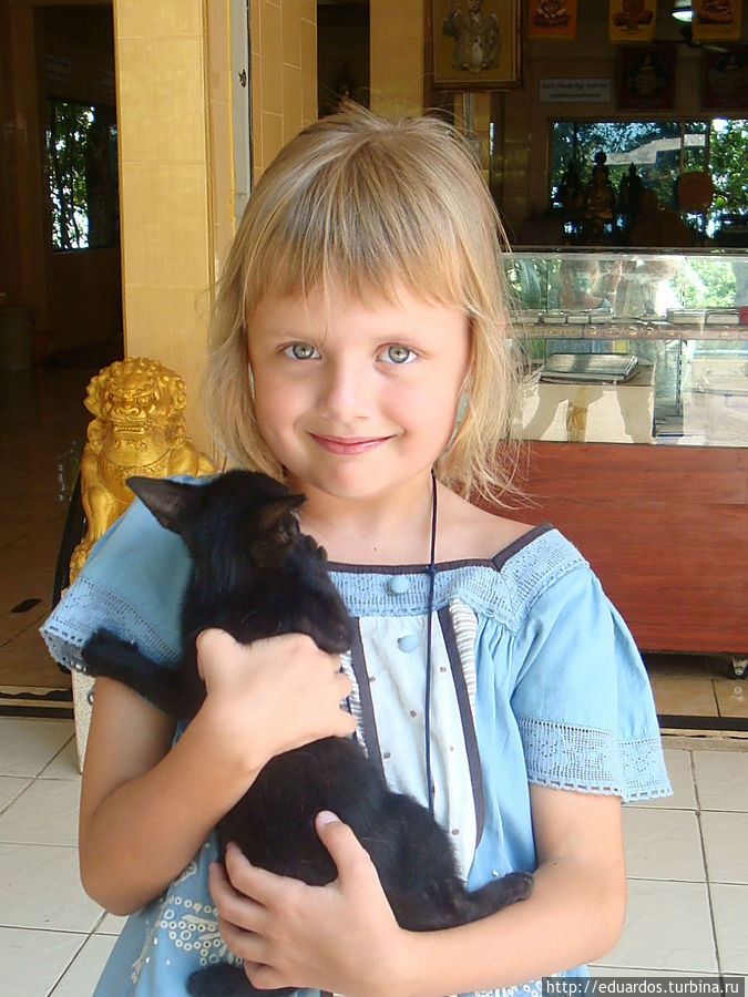 Друзья моей Янки — слоны, коты и обезьянки))) Паттайя, Таиланд Друзья моей Янки — слоны, коты и обезьянки))) Паттайя, Таиланд