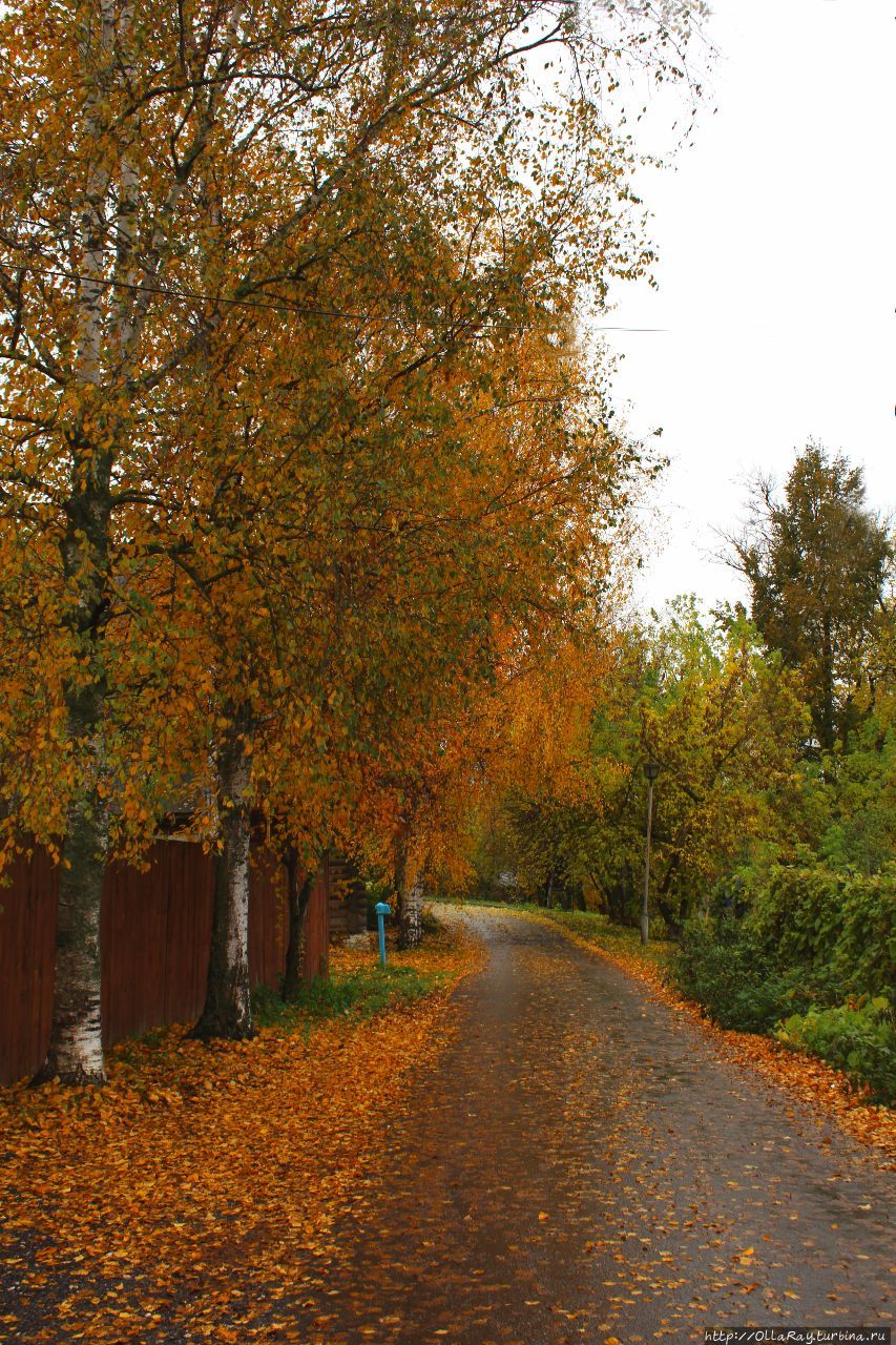 Осень мне в Суздале понравилась — золотая и яркая, жаль только, что красных оттенков мало. Суздаль, Россия