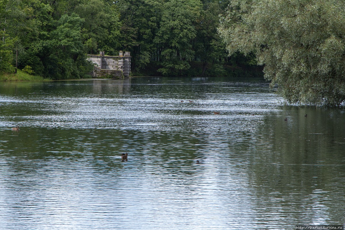 Гатчина Гатчина, Россия