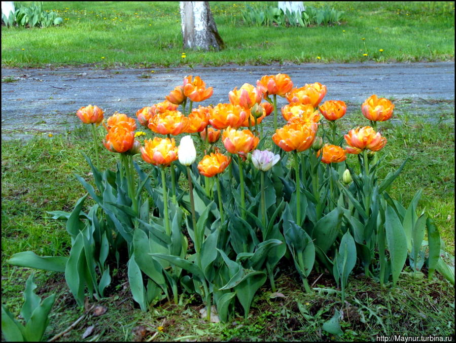 И в этом есть очарование... Южно-Сахалинск, Россия И в этом есть очарование... Южно-Сахалинск, Россия