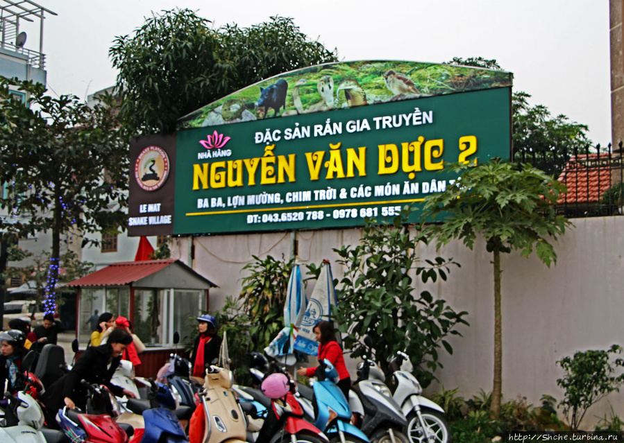 Нгуен Ван Дук 2 Ханой, Вьетнам
