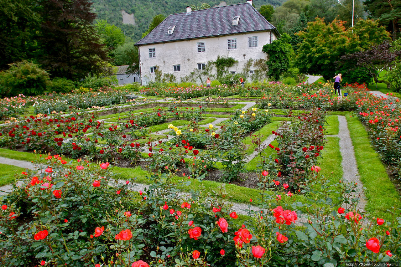Принцесса для Дракона, Роза для Барона Розендаль, Норвегия