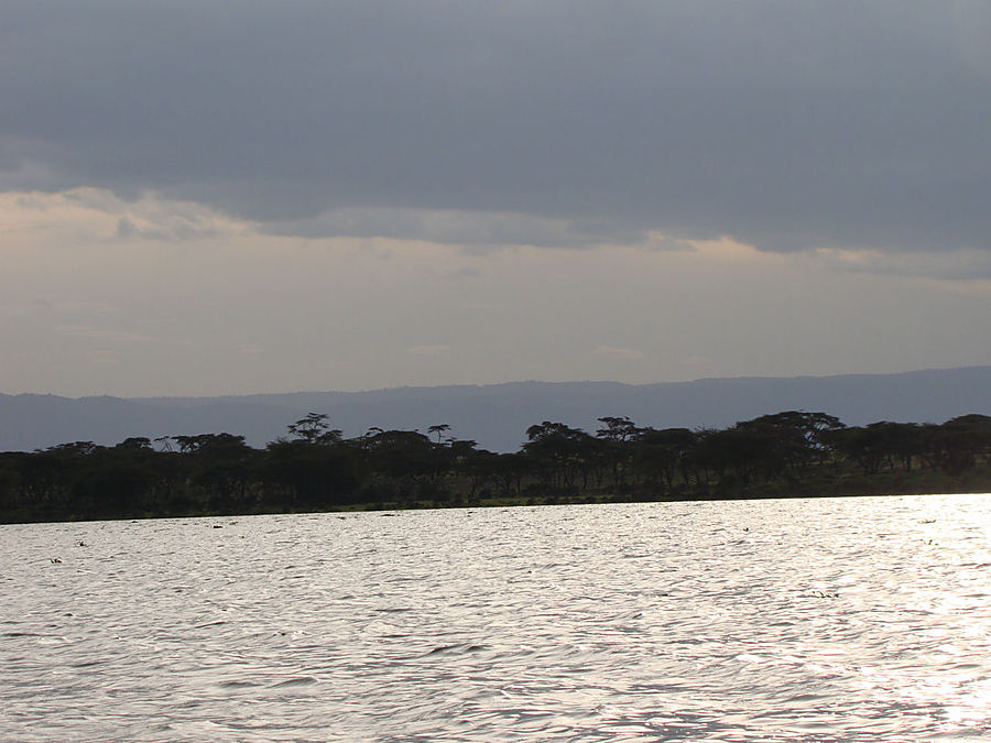 На лодке к бегемотам Найваша, Кения