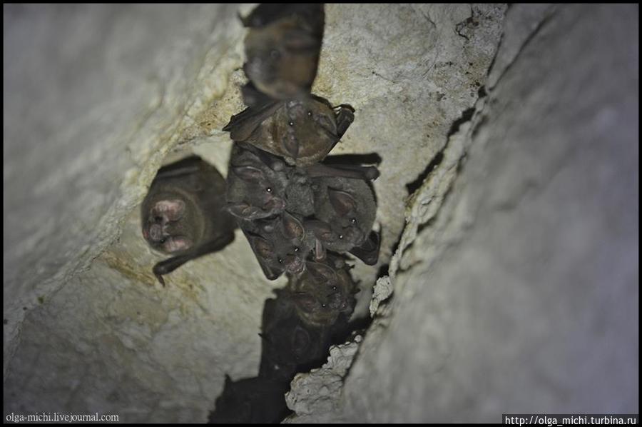 Обитатели разрушенных пирамид. Гватемала Обитатели разрушенных пирамид. Гватемала