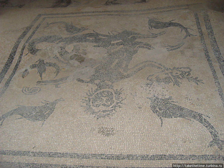 Мозаика в термах Эрколано, Италия