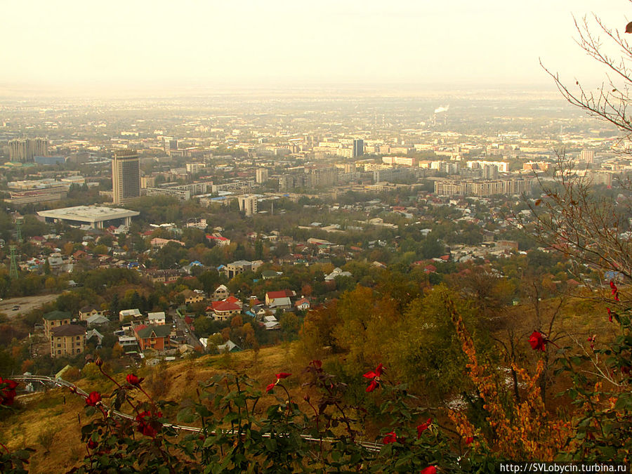 На горе Кок-Тобе На горе Кок-Тобе