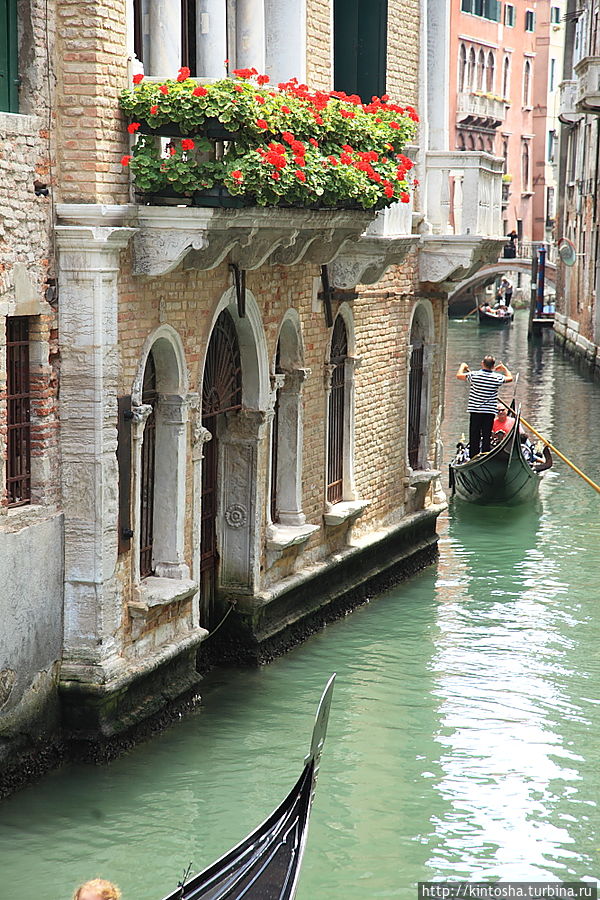 Италия. Мы идем на север! Италия Италия. Мы идем на север! Италия