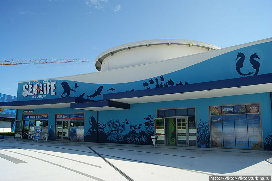 Okeanarium-Lido-di-Ezolo.jpg
