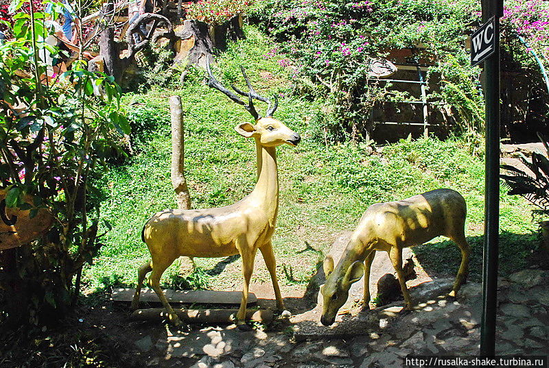 Водопад Датанла Далат, Вьетнам Водопад Датанла Далат, Вьетнам