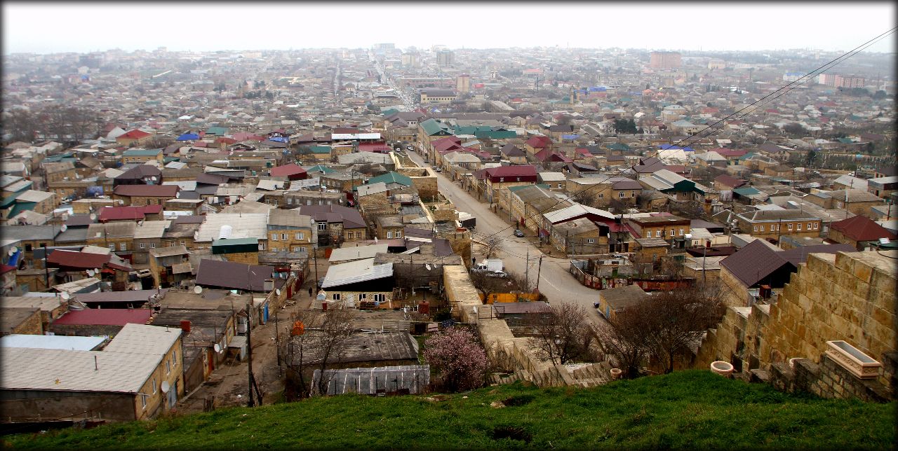 Кавказский старожил или самый южный город России
