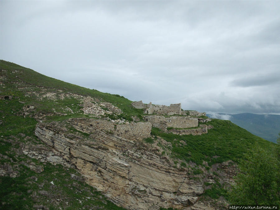 Чеченские каникулы Грозный, Россия