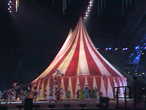 Волшебство русского цирка у двух шапито создают 400 профессиональных артистов.