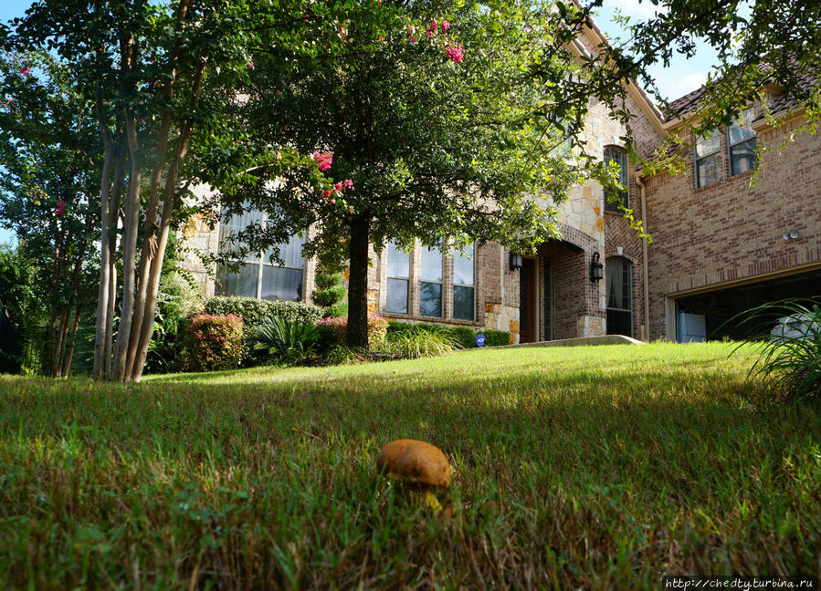 Совсем тихая охота Остин, CША Совсем тихая охота Остин, CША