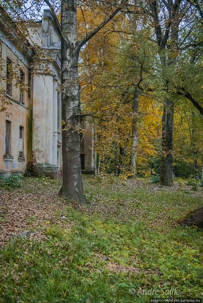 Золотая осень в Болдерае Рига, Латвия