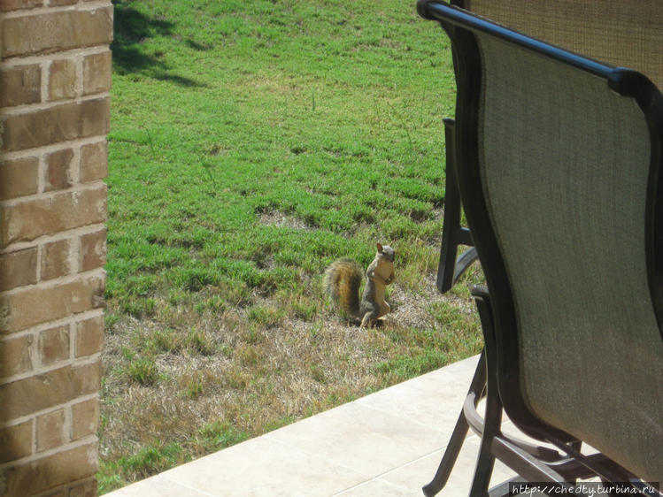 Ты хочешь орешков? Я тебя Ты хочешь орешков? Я тебя