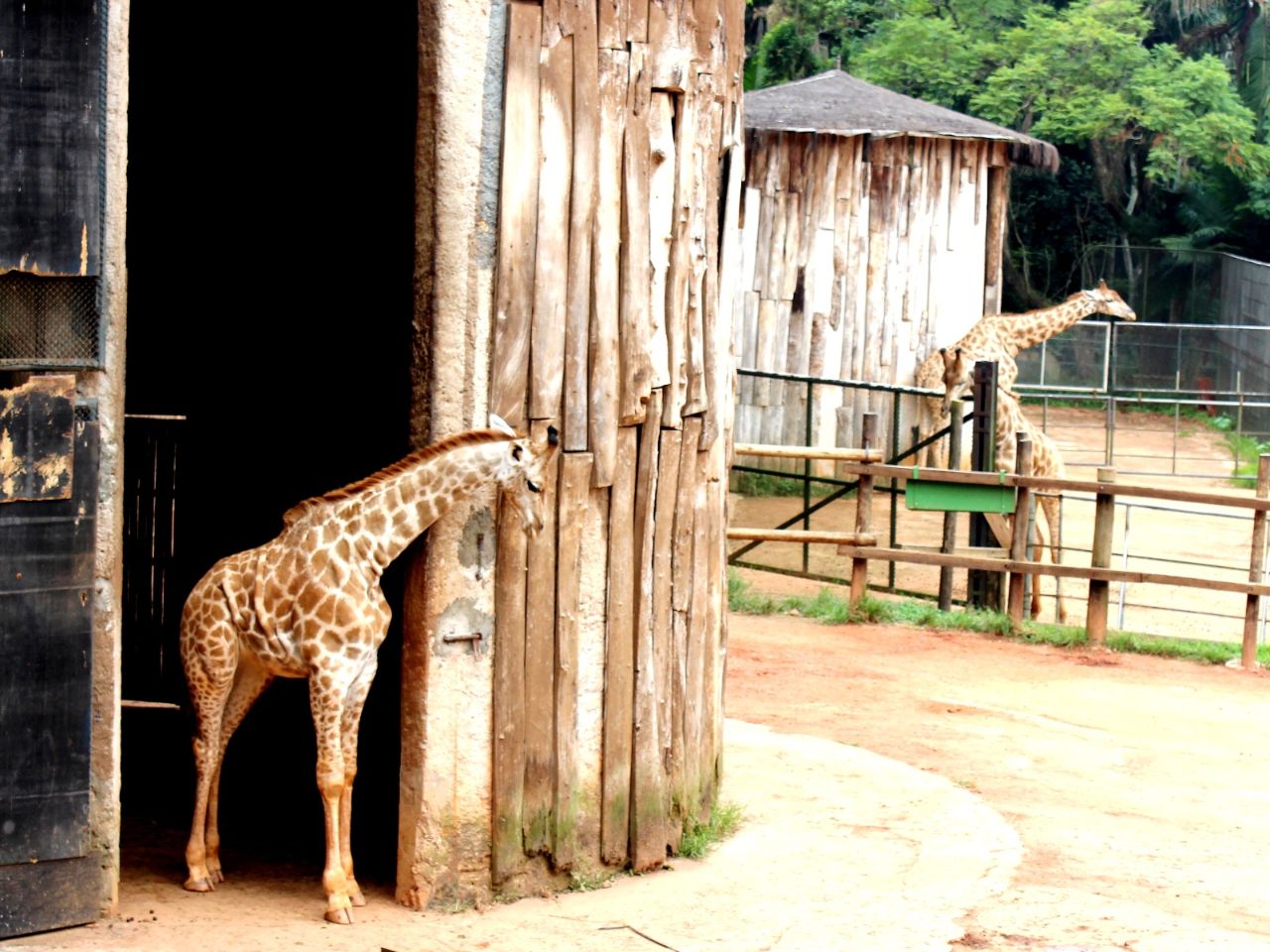 Зоопарк Сан-Паулу Сан-Паулу, Бразилия
