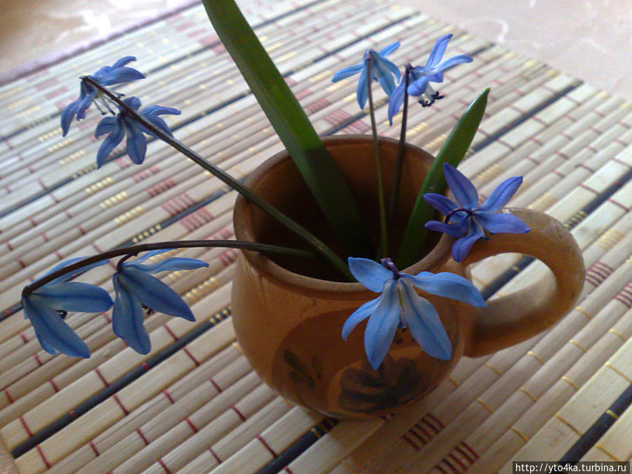 Пролетье — Время начала лета Россия Пролетье — Время начала лета Россия