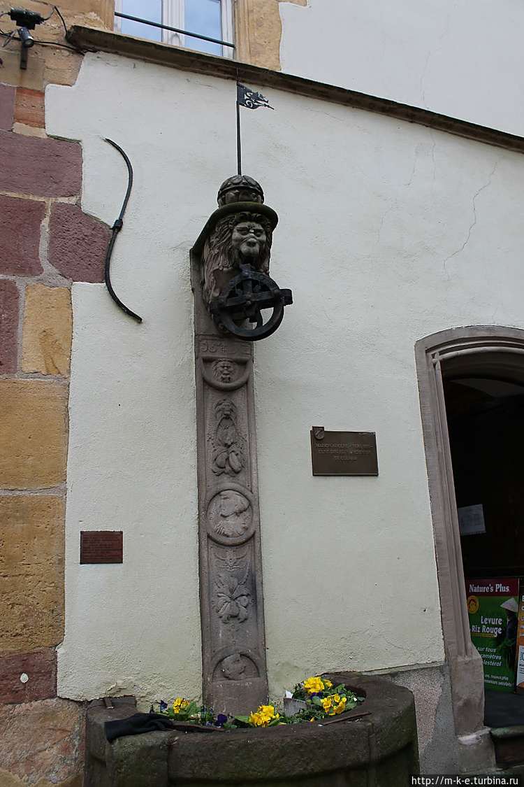 Львиный колодец Львиный колодец