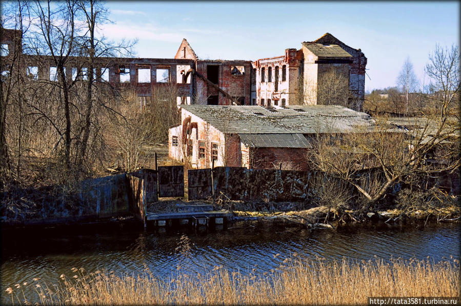 Щетинная фабрика Невель, Россия