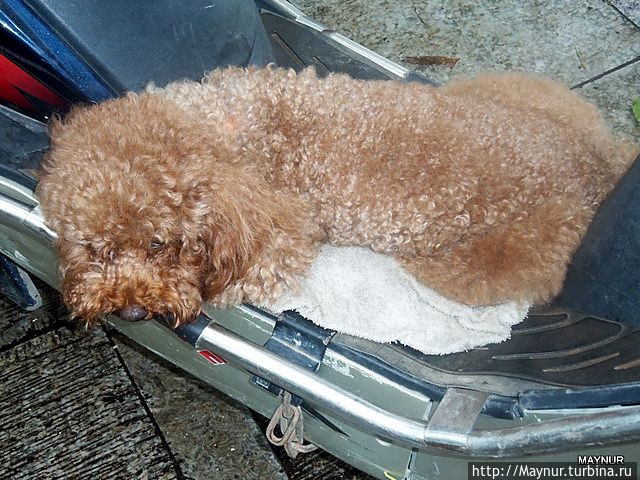 Разное о Китае Китай Разное о Китае Китай