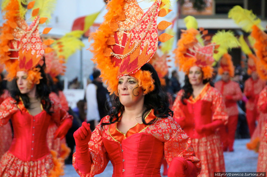Карнавал 2015 в Плайя д Аро