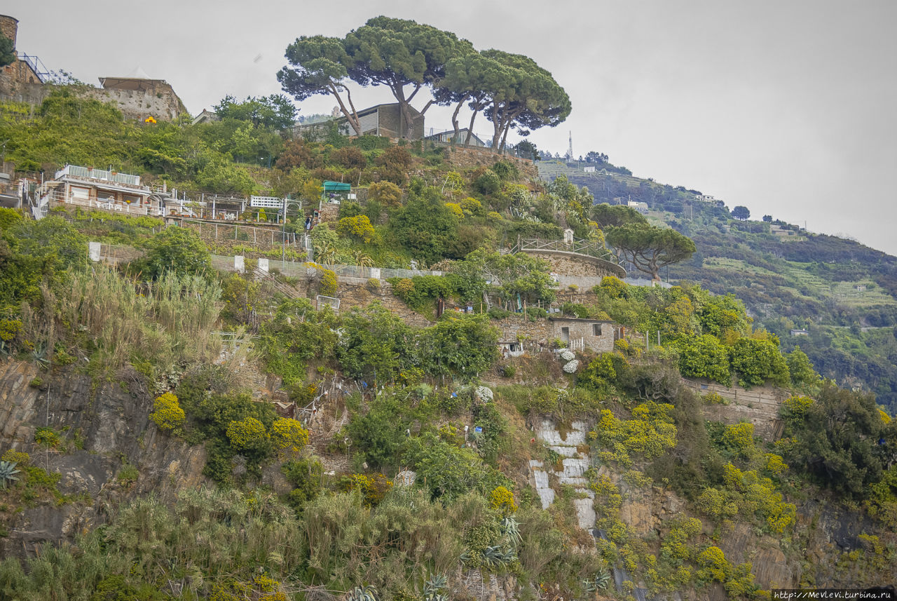 Последний городок на романтическом побережье Риомаджоре, Италия