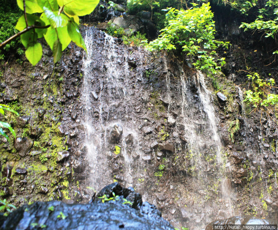 Логово без чудовищ Реюньон Логово без чудовищ Реюньон