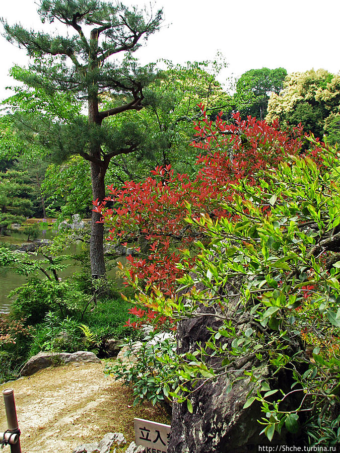 Пройдемся немного вверх по парку Киото, Япония