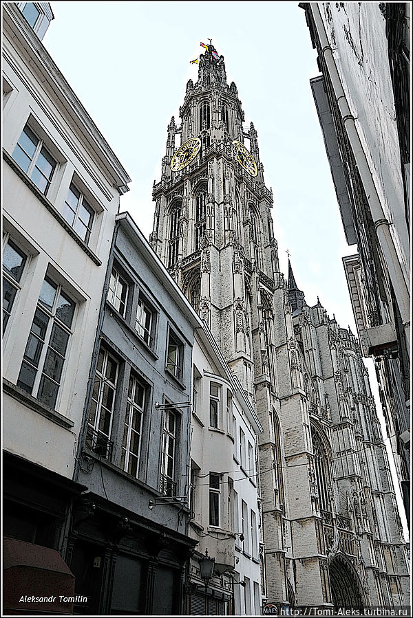 Меня очень поразили красивые готические соборы, устремленные ввысь. Они придают городу особый колорит...
* Антверпен, Бельгия