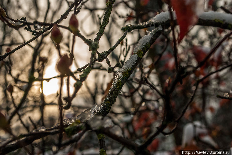 Зимний парк Кронвальда. Рига Рига, Латвия Зимний парк Кронвальда. Рига Рига, Латвия