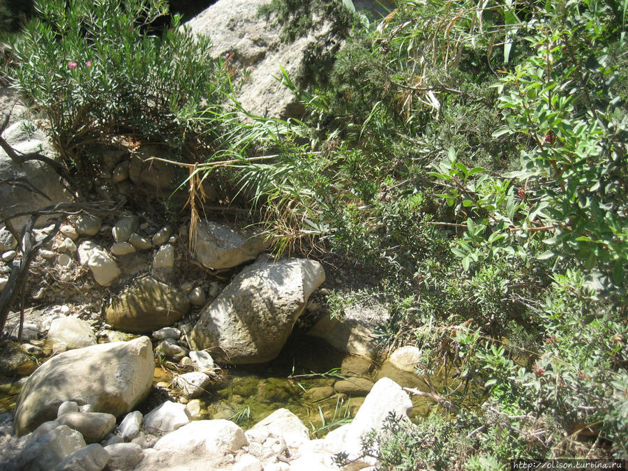ручей, вытекающий из ущелья Акамас полуостров Национальный Парк, Кипр