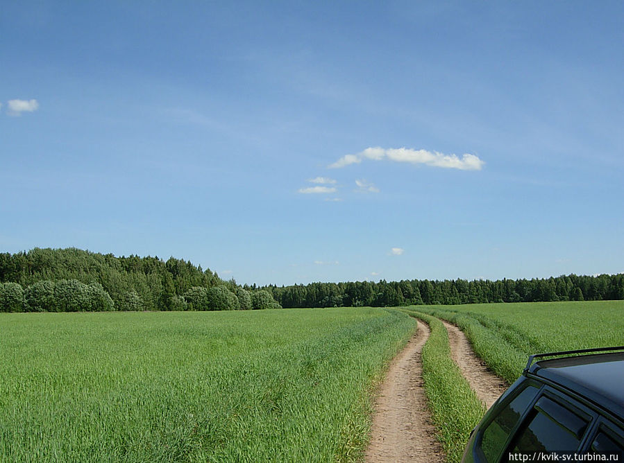 просто две натоптанные полоски просто две натоптанные полоски