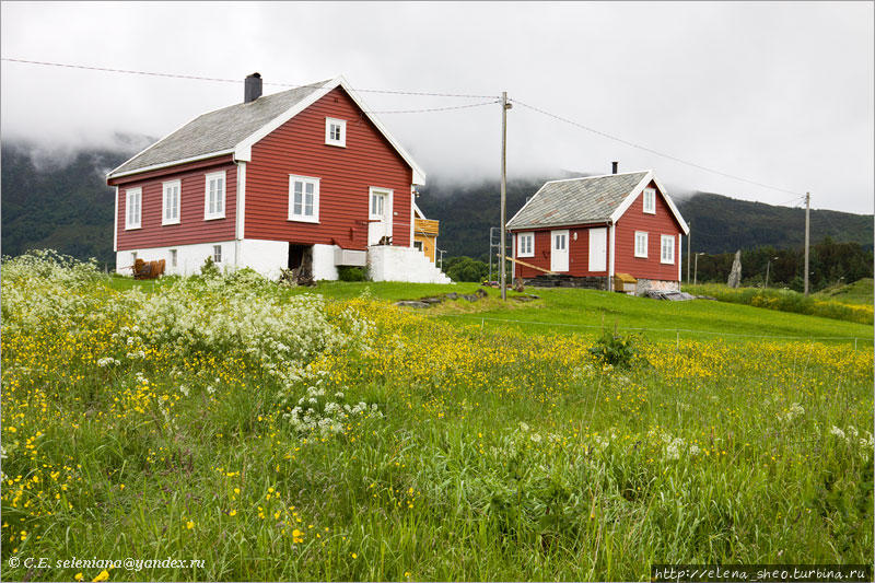 8. Типичные норвежские домики, какие встречаются везде. Окраска очень распространённая — это красивый тёмно-красный цвет норвежского флага. И окна всегда окрашены в контрастный цвет, чаще всего белый. Олесунн, Норвегия
